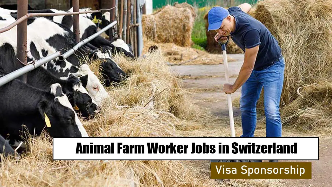 Animal Farm Worker Jobs in Switzerland with Visa Sponsorship