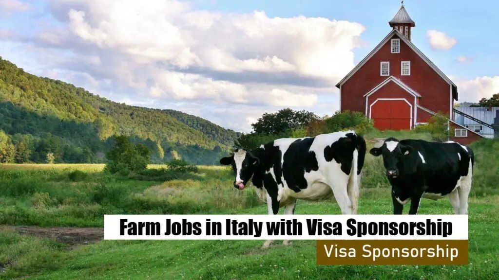 Farm Jobs in Italy with Visa Sponsorship 2024
