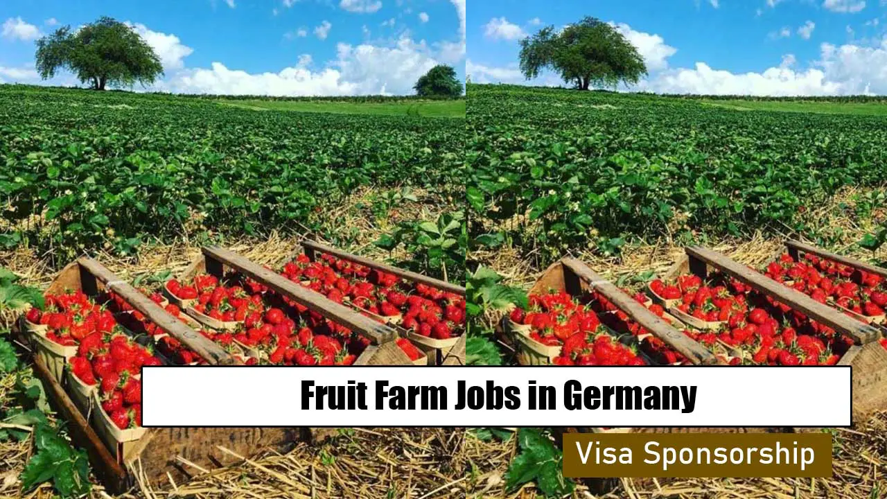 Fruit Farm Jobs in Germany with Visa Sponsorship