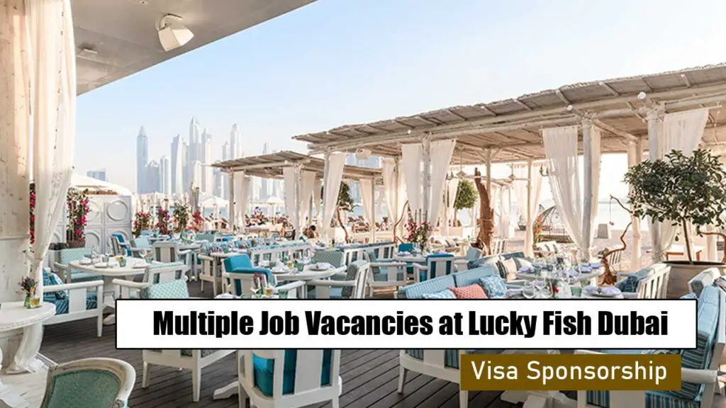 Multiple Job Vacancies at Lucky Fish Dubai with Visa Sponsorship