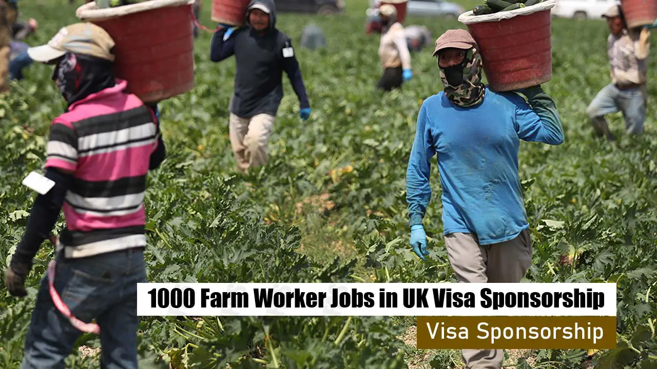 Farm Worker Jobs in UK with Visa Sponsorship