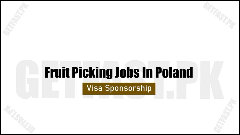 Fruit Picking Jobs In Poland With Visa Sponsorship