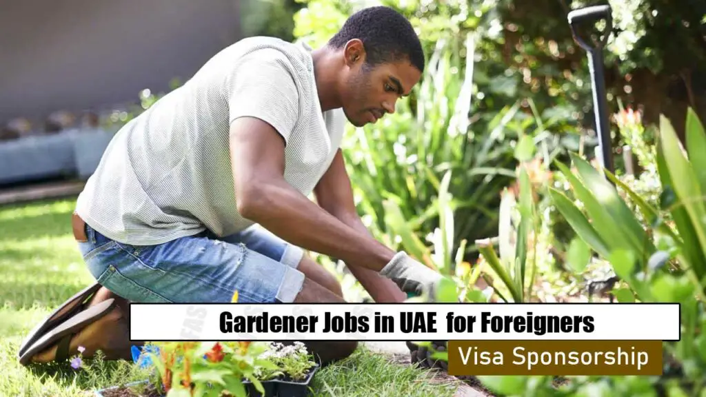 Gardener Jobs in UAE with Visa Sponsorship for Foreigners