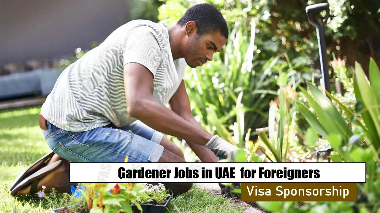 Gardener Jobs in UAE with Visa Sponsorship