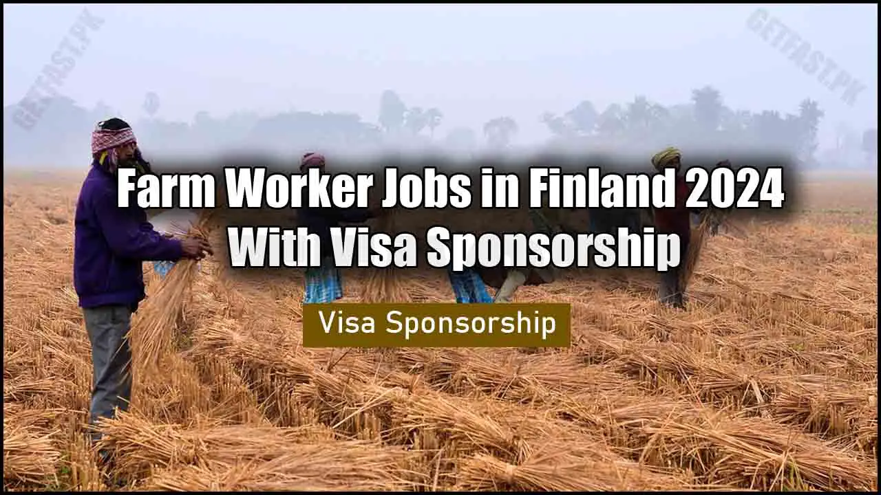 Farm Worker Jobs in Finland 2024 With Visa Sponsorship