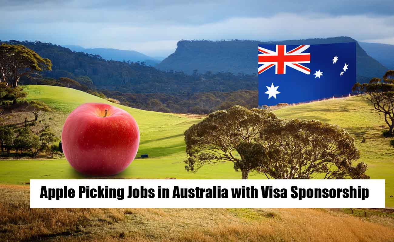 Apple Picking Jobs in Australia with Visa Sponsorship