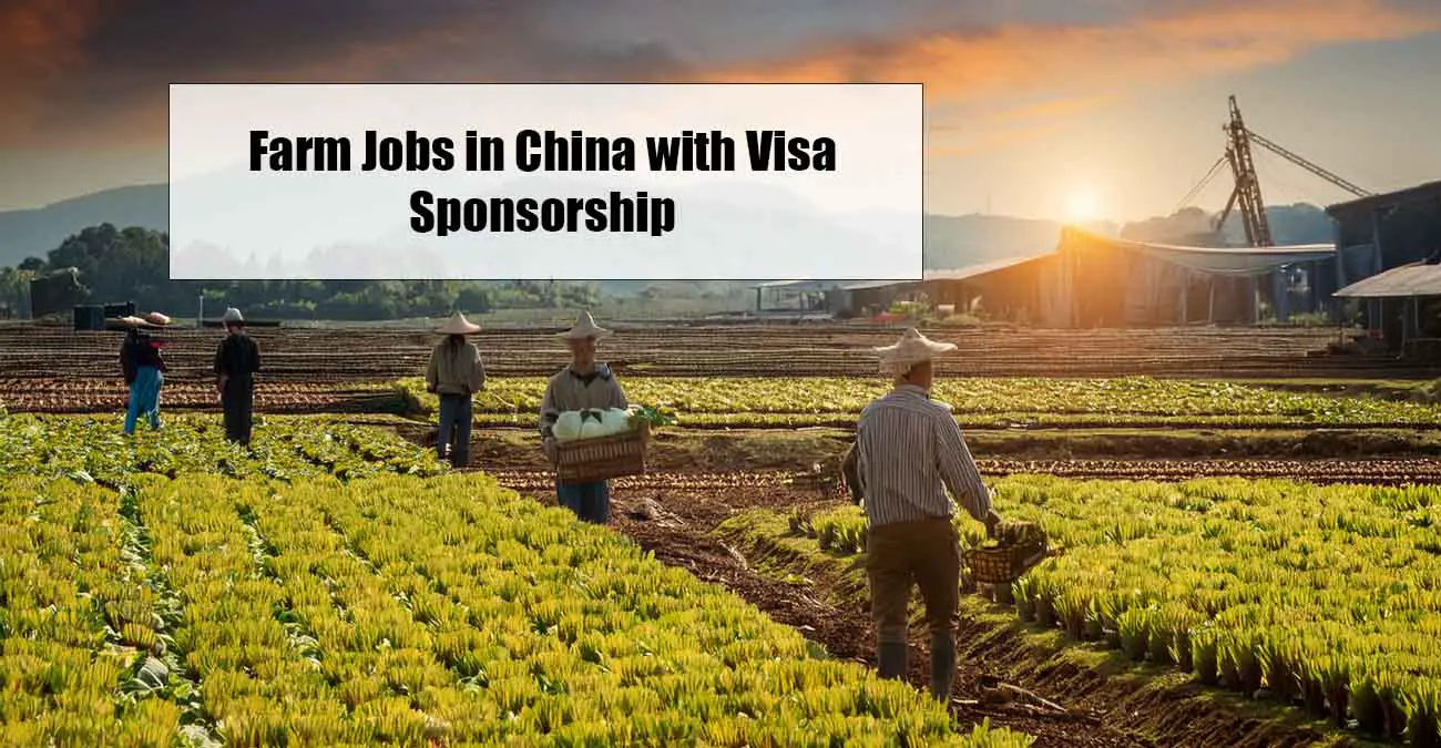 Farm Jobs in China with Visa Sponsorship