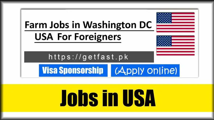 Farm Jobs in Washington DC USA 2024 For Foreigners - Apply Online