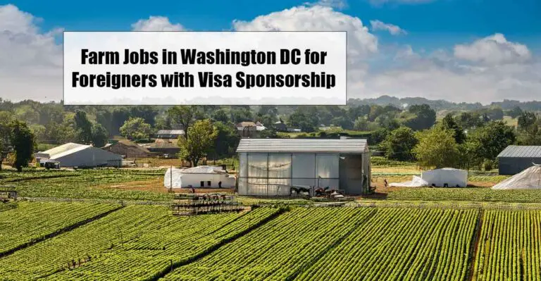 Farm Jobs in Washington DC for Foreigners with Visa Sponsorship