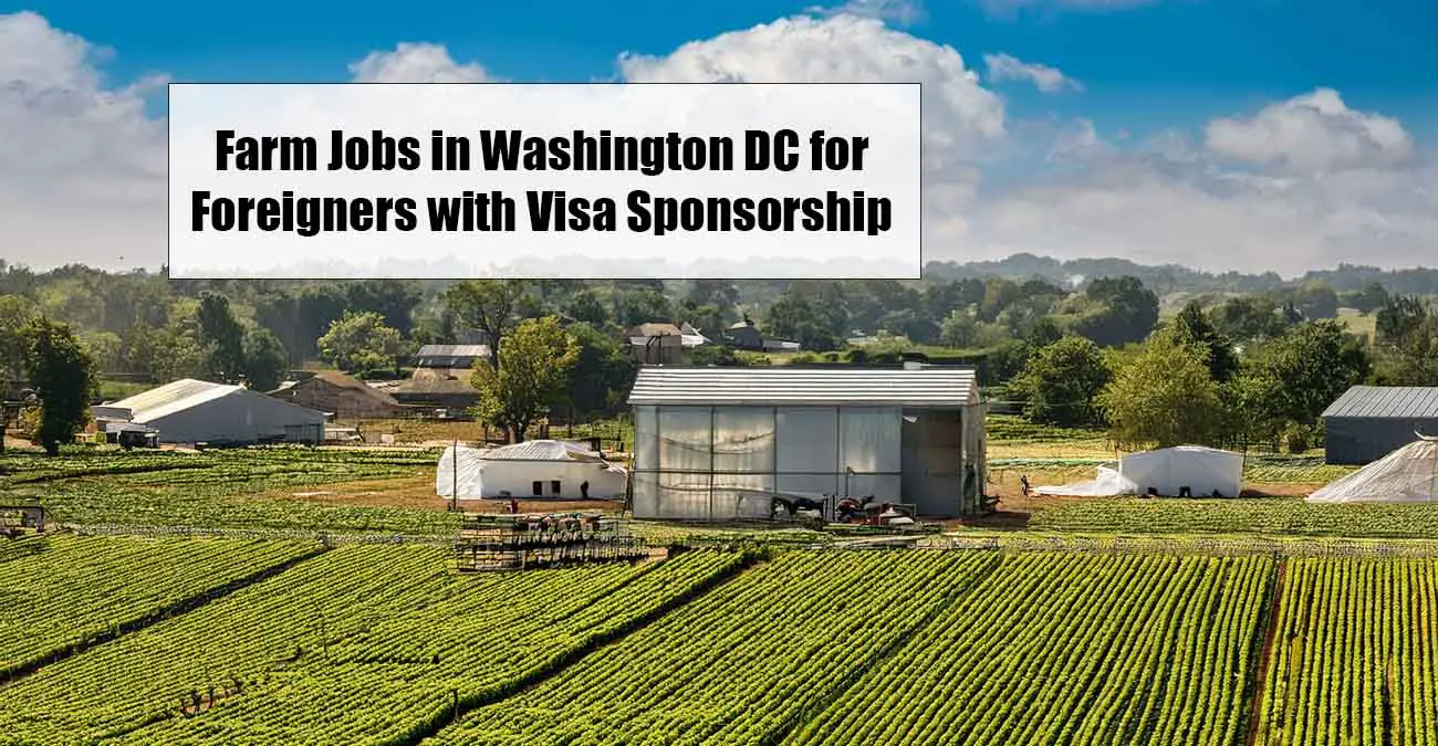 Farm Jobs in Washington DC for Foreigners with Visa Sponsorship