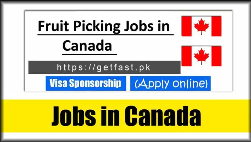 Fruit Picking Jobs in Canada 2024 with Visa Sponsorship - Apply Online