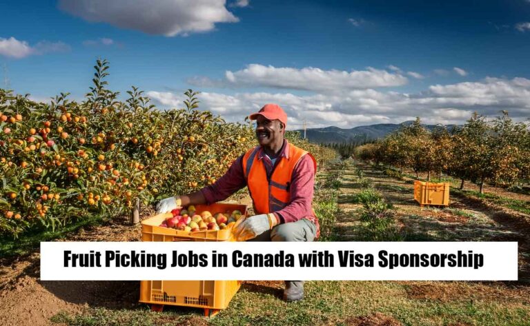 Fruit Picking Jobs in Canada with Visa Sponsorship