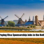 High-Paying Visa Sponsorship Jobs in the Netherlands