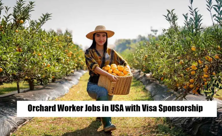 Orchard Worker Jobs in USA 2025 with Visa Sponsorship