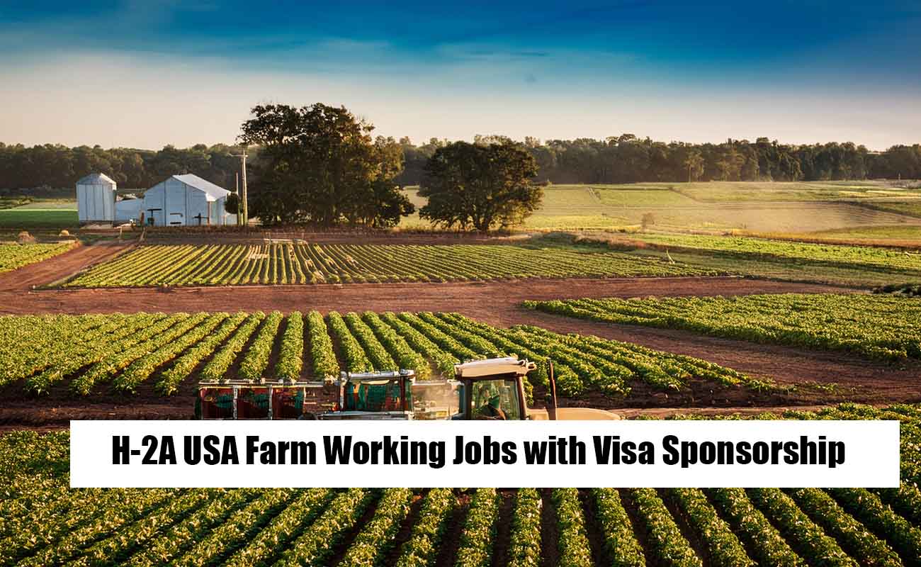USA Farm Working Jobs
