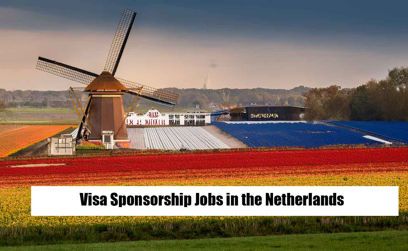 Visa Sponsorship Jobs in the Netherlands