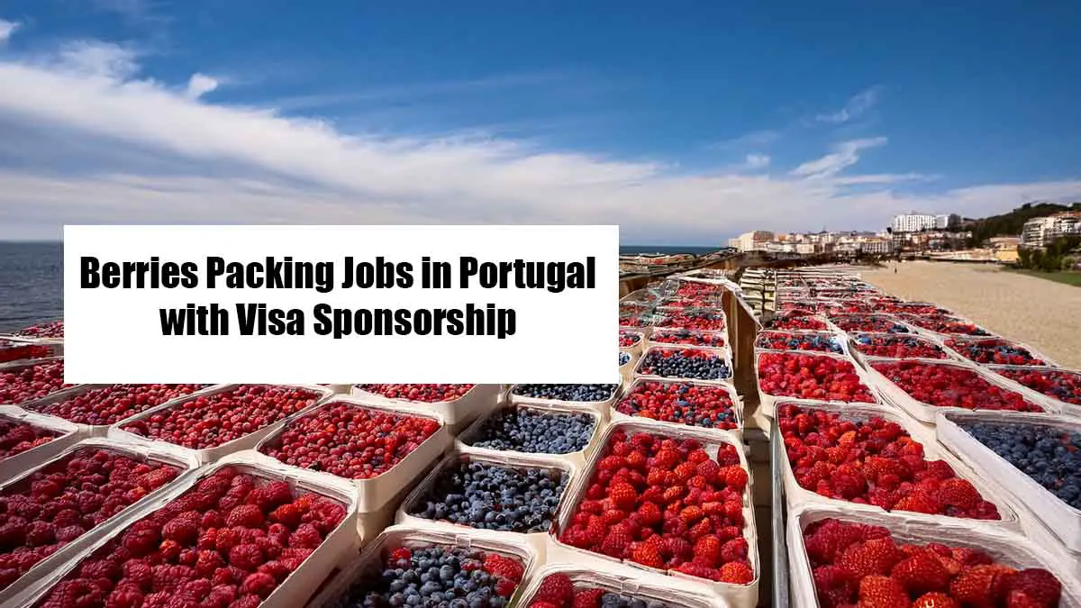 Berries Packing Jobs in Portugal with Visa Sponsorship