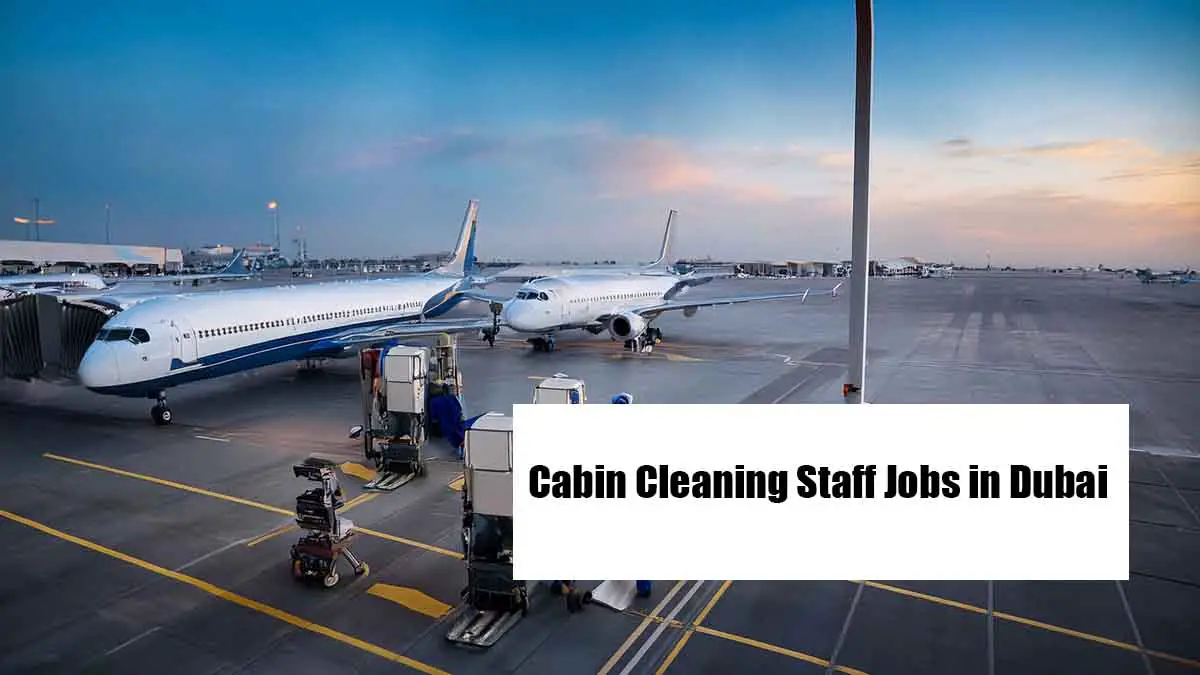 Cabin Cleaning Staff Jobs in Dubai