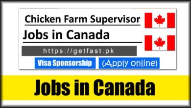 Chicken Farm Supervisor Jobs in Canada 2024 (Apply Online)