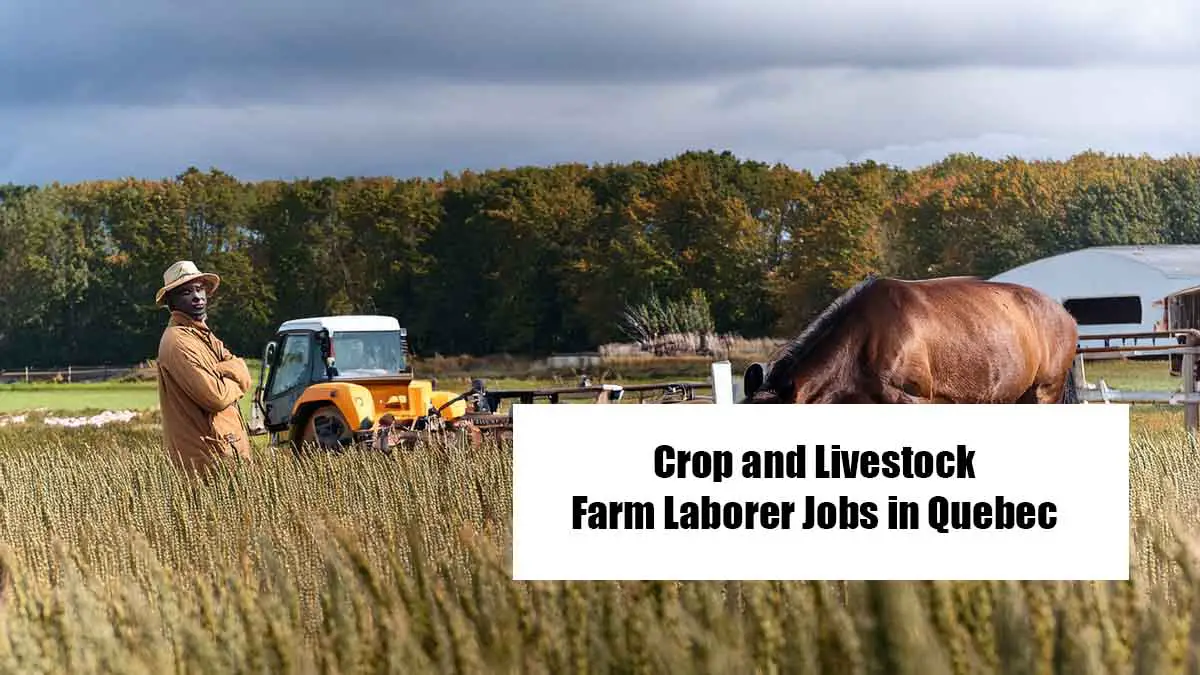 Crop and Livestock Farm Laborer Jobs in Quebec for Foreigners