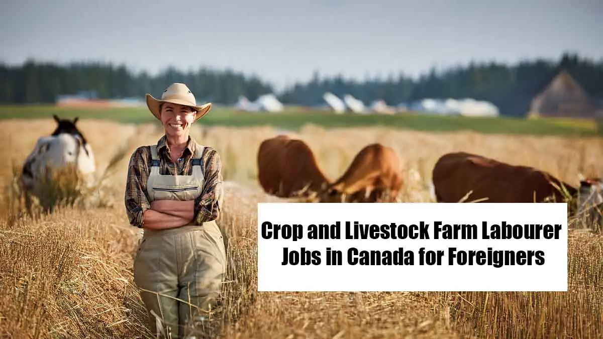 Crop and Livestock Farm Labourer Jobs in Canada for Foreigners