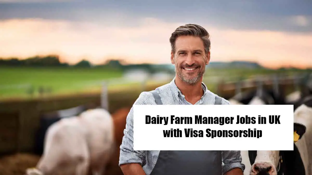 Dairy Farm Manager Jobs in UK with Visa Sponsorship