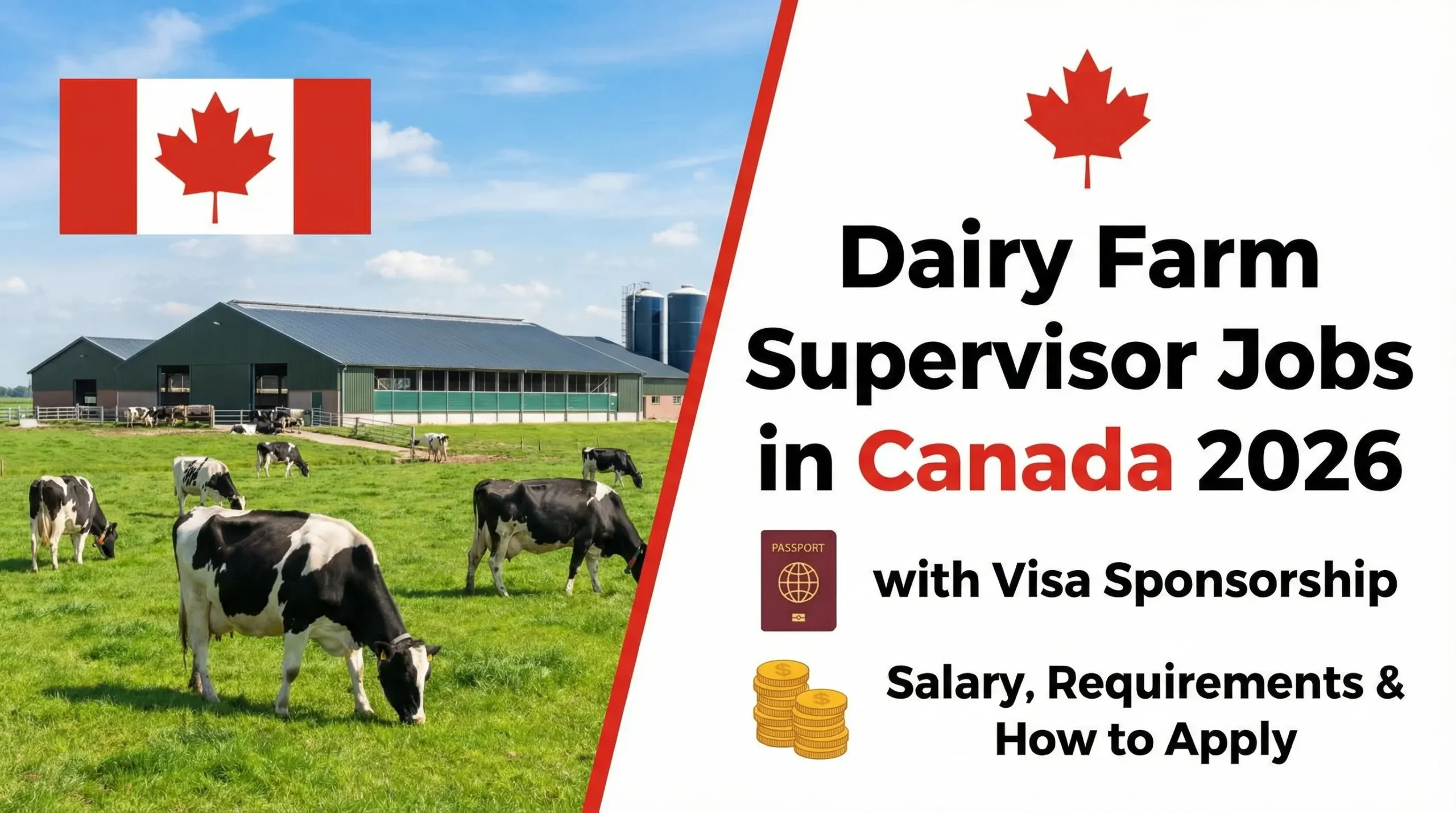 Dairy Farm Supervisor Jobs in Canada