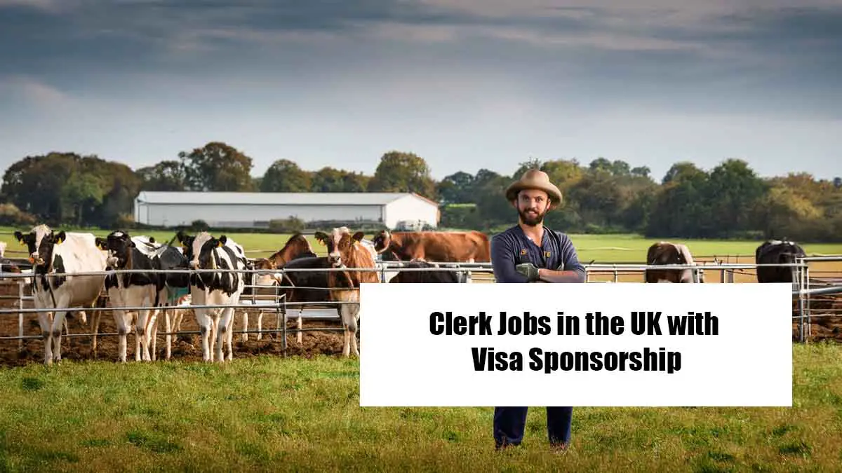 Dairy Farm Worker Jobs in England for Foreigners with Visa Sponsorship