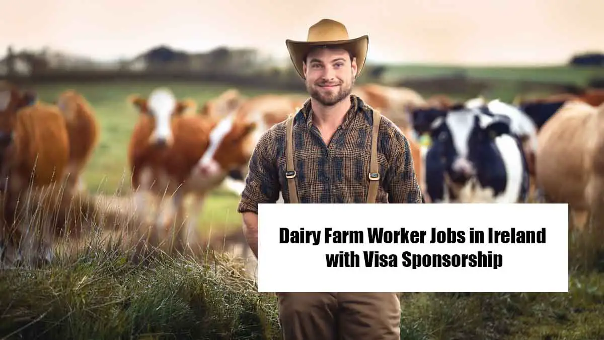 Dairy Farm Worker Jobs in Ireland with Visa Sponsorship
