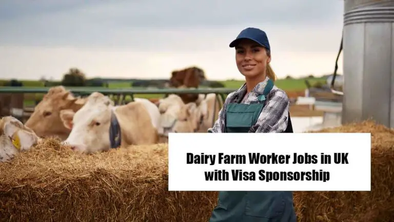 Dairy Farm Worker Jobs in UK with Visa Sponsorship