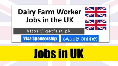 Dairy Farm Worker Jobs in the UK 2024 For Foreigners With Visa Sponsorship