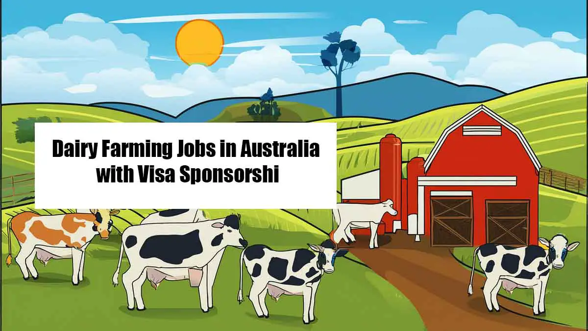 Dairy Farming Jobs in Australia with Visa Sponsorship