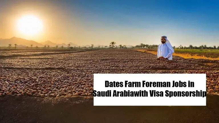 Dates Farm Foreman Jobs in Saudi Arabia with Visa Sponsorship