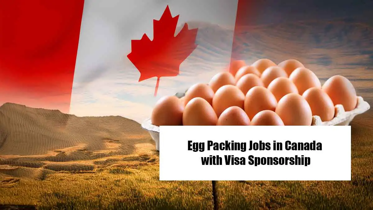 Egg Packing Jobs in Canada with Visa Sponsorship