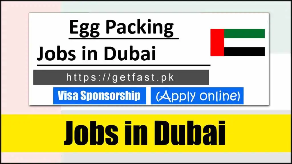 Egg Packing Jobs in Dubai 2024 with Visa Sponsorship