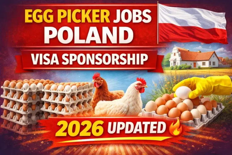 Egg Picker Jobs in Poland With Visa Sponsorship