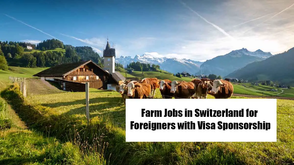 Farm Jobs in Switzerland for Foreigners with Visa Sponsorship