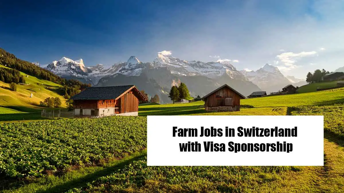 Farm Jobs in Switzerland