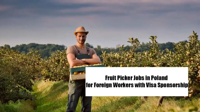 Fruit Picker Jobs in Poland for Foreign Workers with Visa Sponsorship