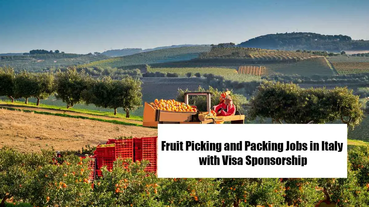 Fruit Picking and Packing Jobs in Italy with Visa Sponsorship
