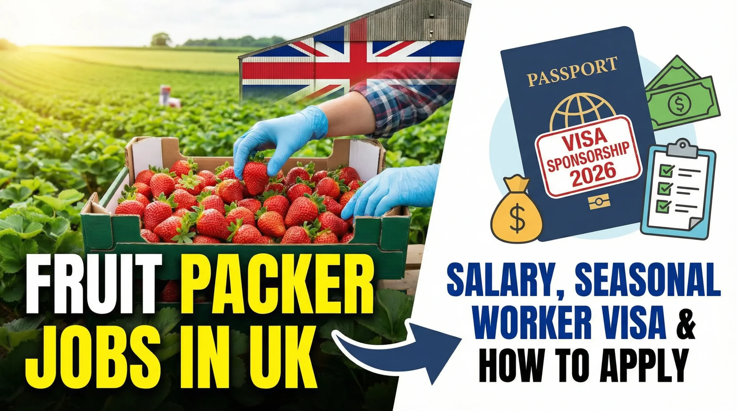 Fruit Packer Jobs in UK with Visa Sponsorship