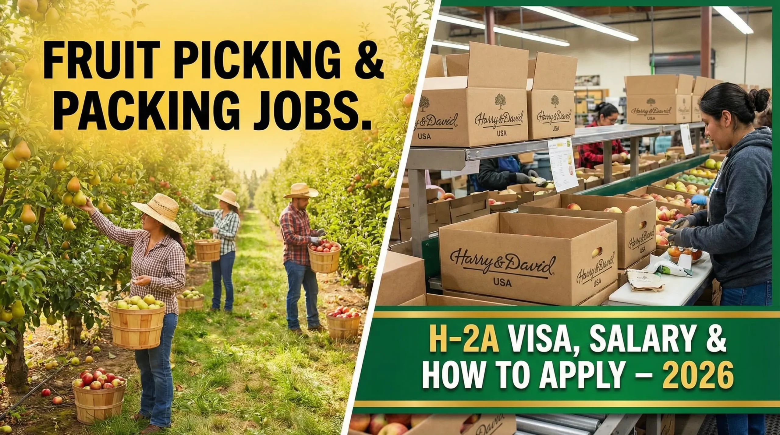 Fruit Picking and Packing Jobs at Harry & David USA