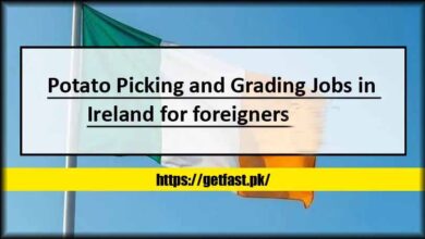 Potato Picking and Grading Jobs in Ireland for Foreigners 2024