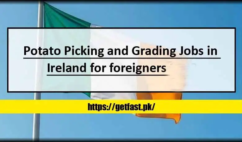 Potato Picking and Grading Jobs in Ireland for Foreigners 2024