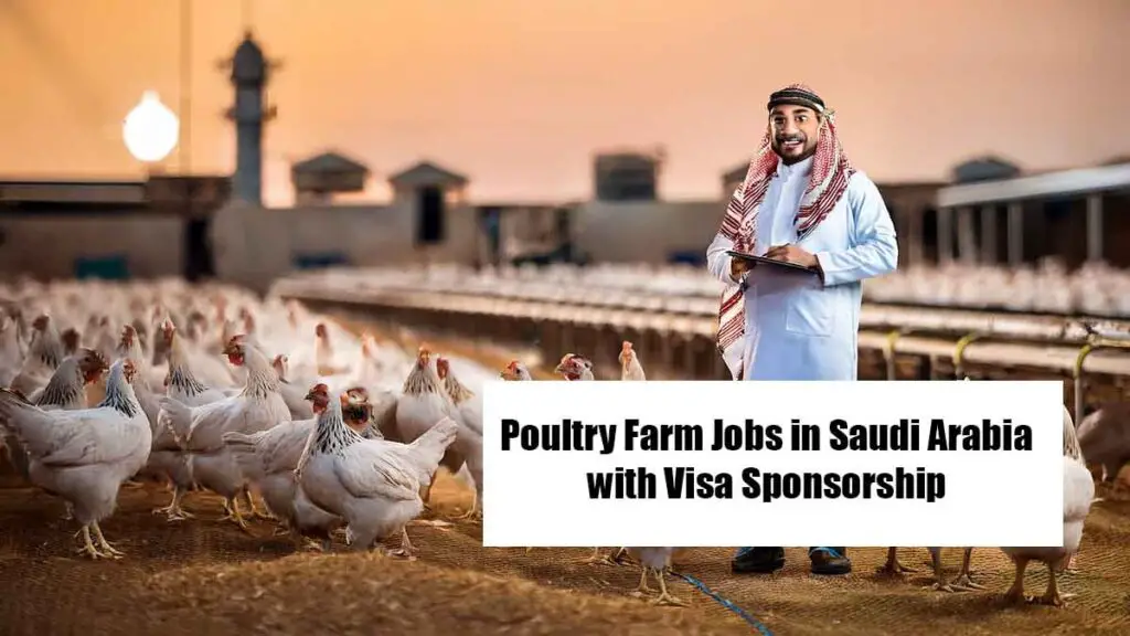 Poultry Farm Jobs in Saudi Arabia with Visa Sponsorship 2026 – Apply ...