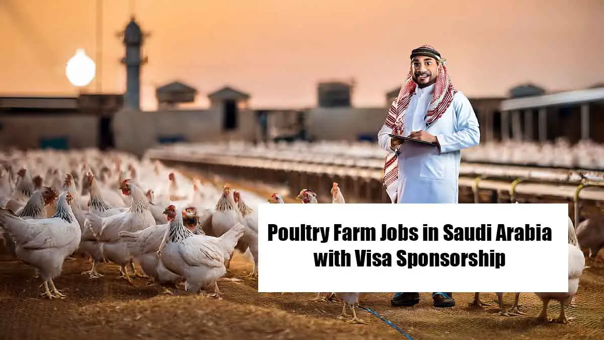 Poultry Farm Jobs in Saudi Arabia with Visa Sponsorship