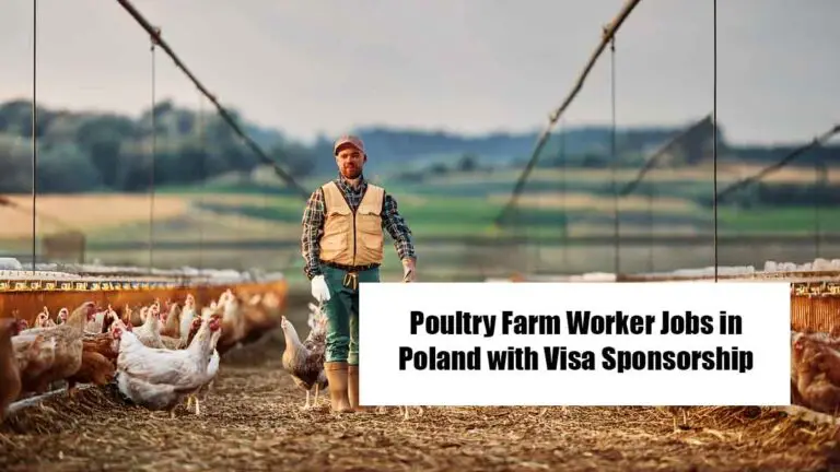 Poultry Farm Worker Jobs in Poland with Visa Sponsorship