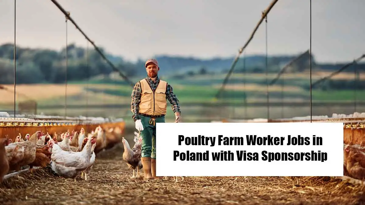 Poultry Farm Worker Jobs in Poland with Visa Sponsorship
