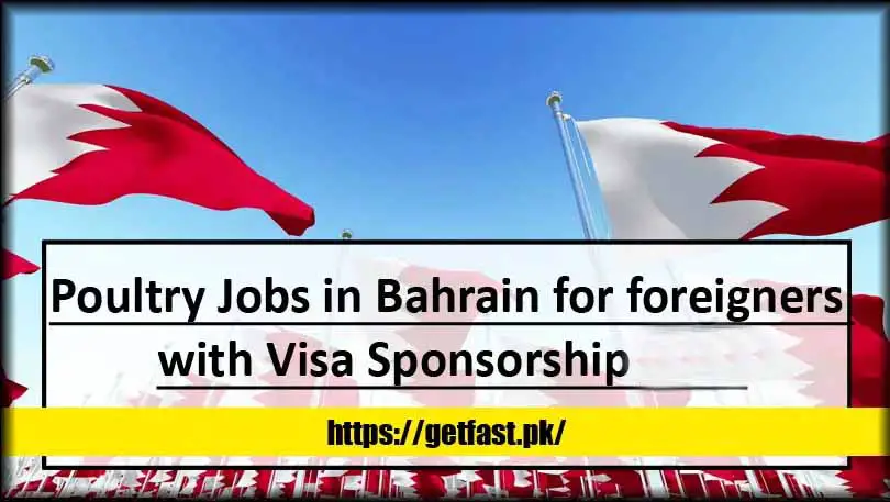 Poultry Jobs in Bahrain for Foreigners with Visa Sponsorship 2024