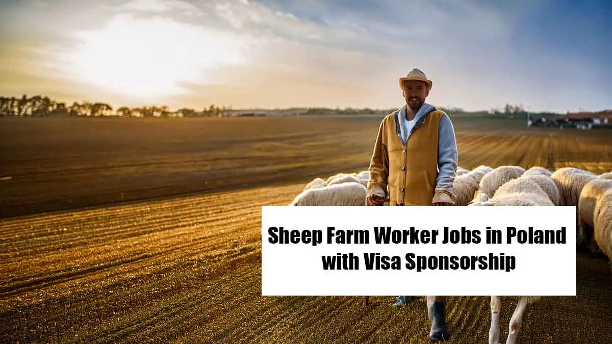 Sheep Farm Worker Jobs in Poland with Visa Sponsorship